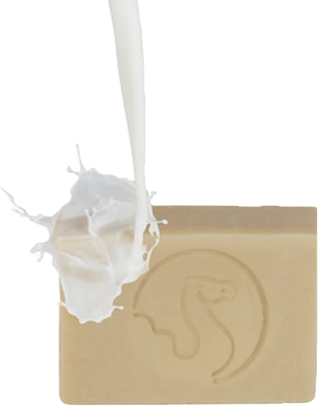 Kamelmilchseife mit Milchspritze