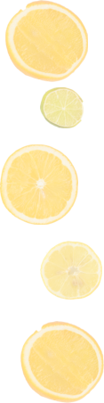Orangen und Zitronen für Kamelmilchseife