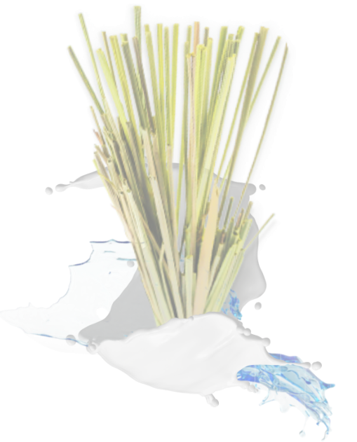 lemongrass camel milk soap